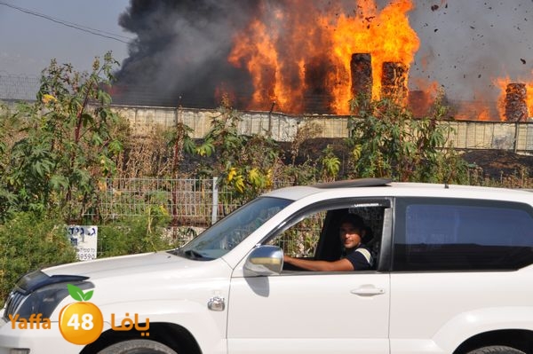 firecartoonsecnd506 (15).JPG